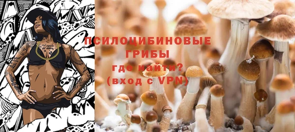 PSILOCYBIN Бугульма