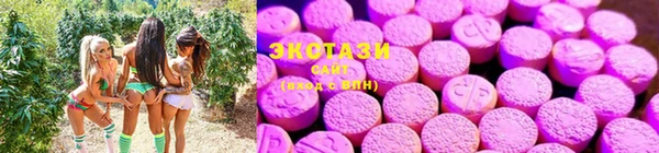 mdma Бородино